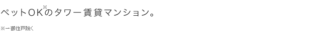 JR京浜東北線、東急池上線・多摩川線　2駅3路線利用可。ペットＯＫのタワー賃貸マンション。