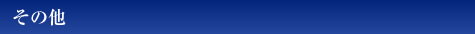 その他
