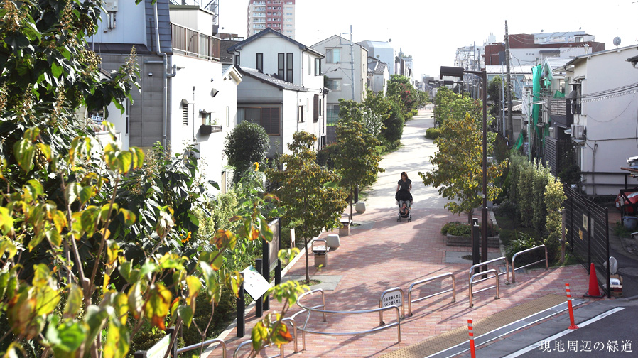 現地周辺の緑道