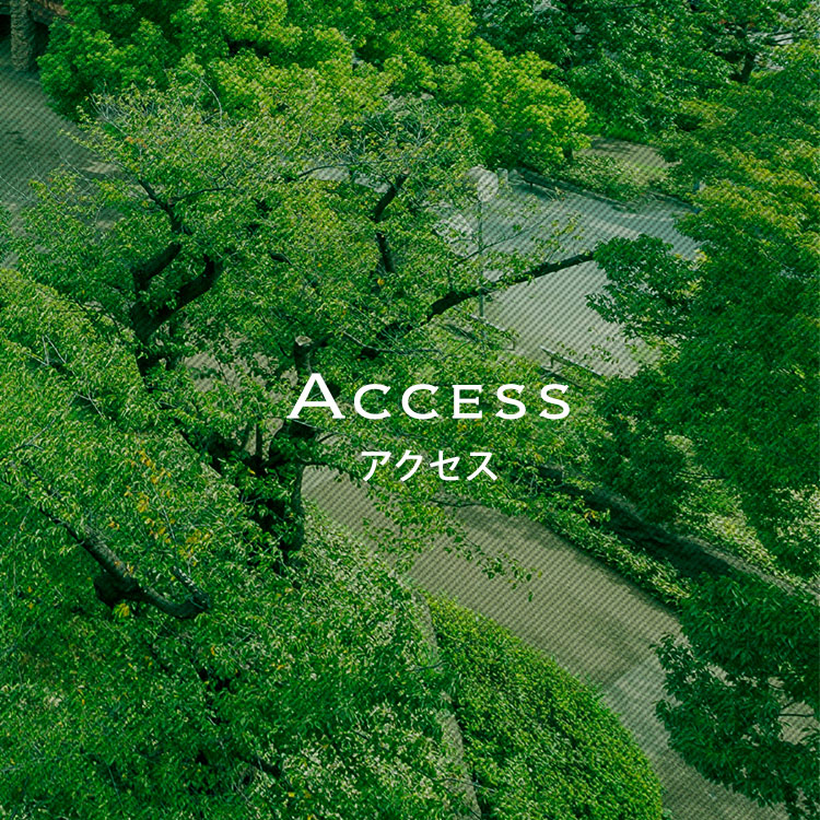 アクセス