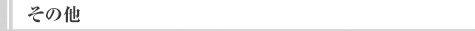 その他